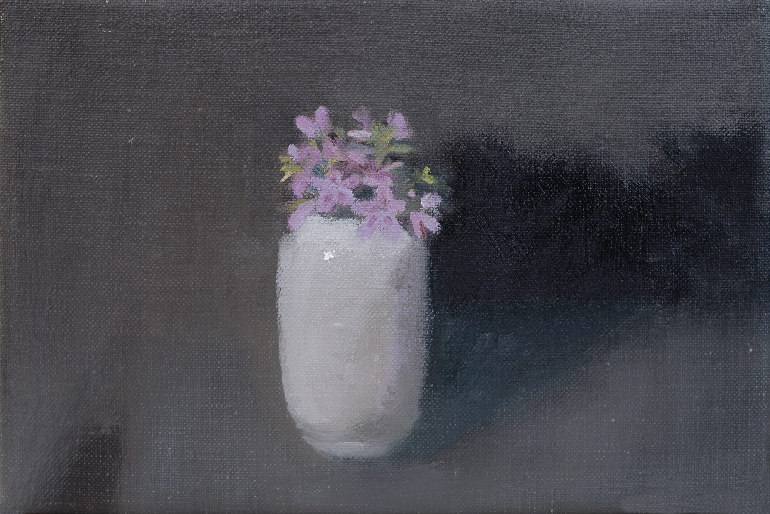malvarrosas
